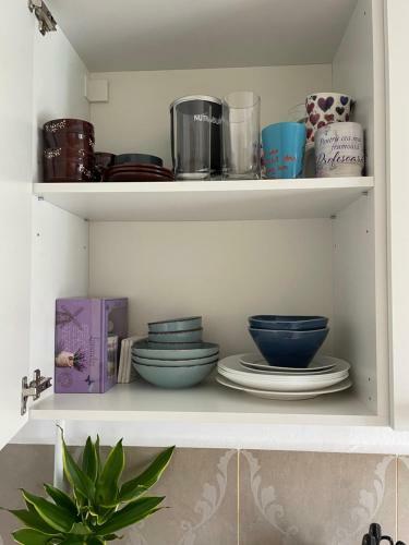 Back In The Woods Apartment