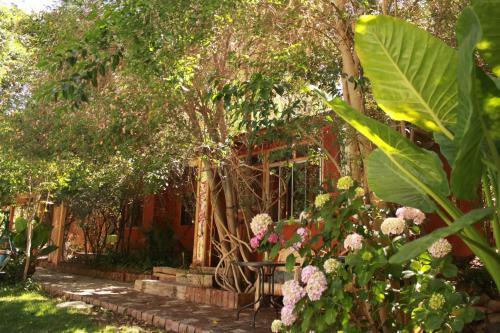 Apartamento El Jard�n Secreto-pisco Elqui