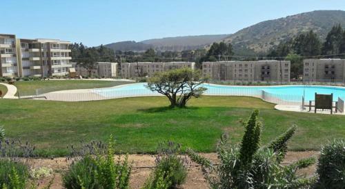 Apartamento Departamento Lomas De Papudo