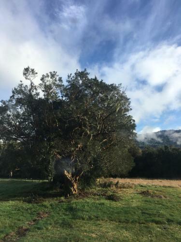 Caba�as R�o Del Este