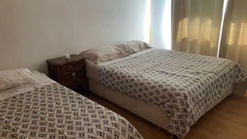 Bed & Breakfast Bienvenido A Campo Alerce
