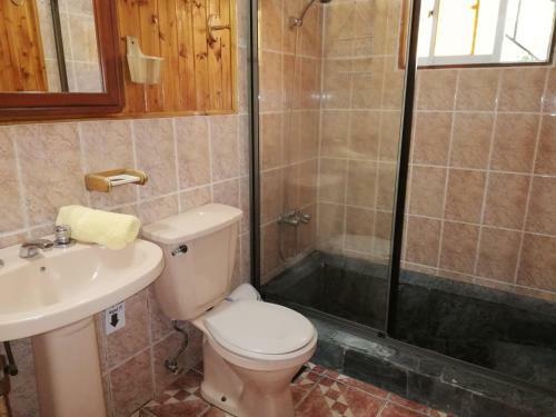 Apartamento El Boldo Magico