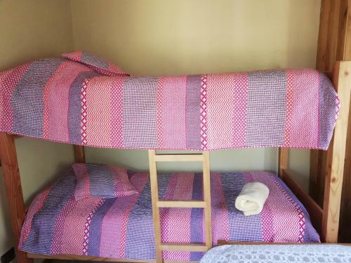 Apartamento El Boldo Magico