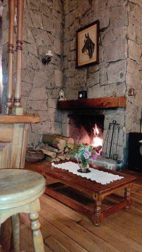 Casa Las Bandurrias Puc�n-chile
