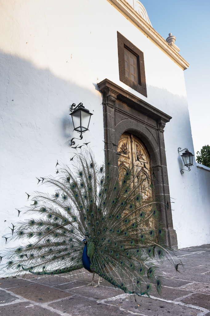 Hotel Fiesta Amer Hacienda Galindo