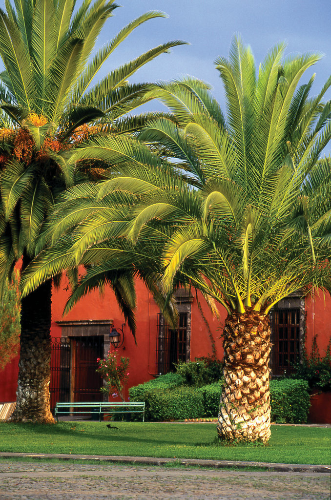 Hotel Fiesta Amer Hacienda Galindo