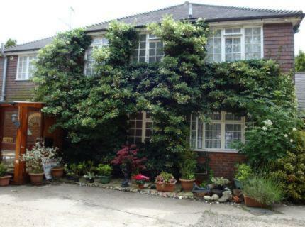 Hostal Da Vinci Guest House - Bed And Breakfast (gatwick)