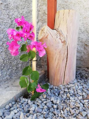 Chalet En Algarrobo Con Tinaja