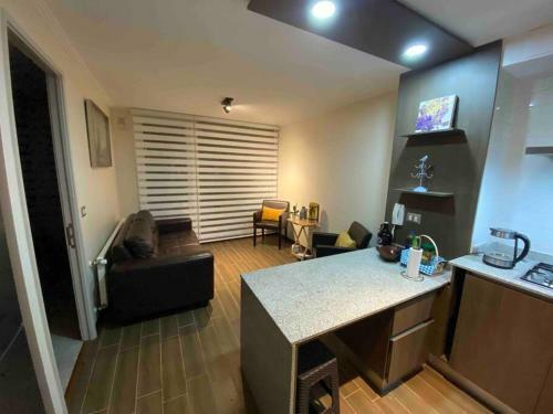 Apartamento Lindo Departamento Amoblado-isla Teja-valdivia.
