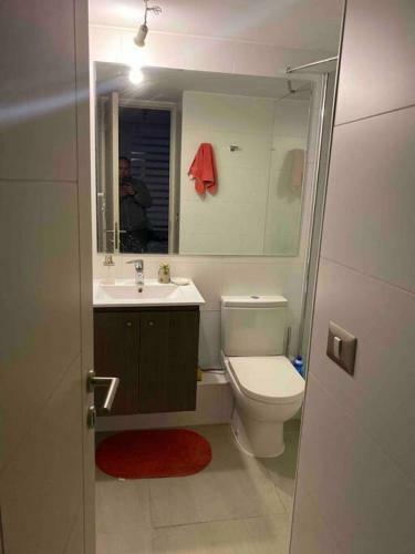Apartamento Lindo Departamento Amoblado-isla Teja-valdivia.