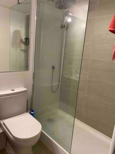 Apartamento Lindo Departamento Amoblado-isla Teja-valdivia.