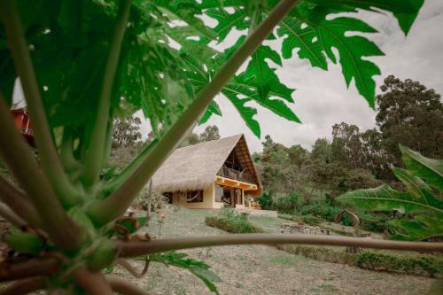 La Luciana Romantic Gateaway