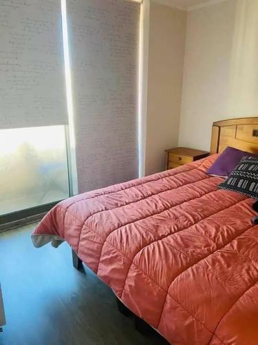 Apartamento Depto En Vi�a