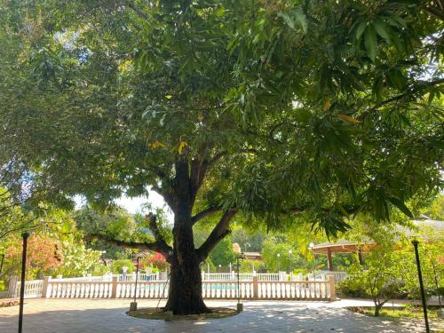 All Villa Campestre - Honda, Tolima