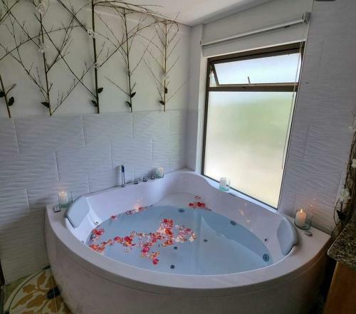 Hotel Bahia Del Faro