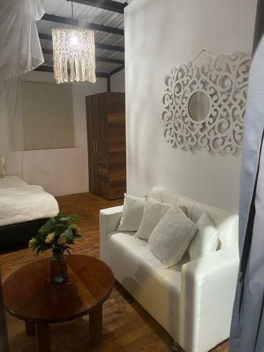 Hotel, Selva Negra