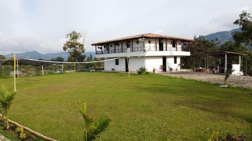 Reina Verde