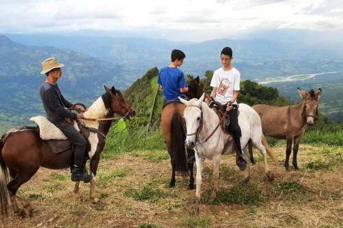 Finca Panorama, Jeric�