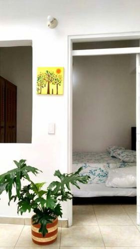 Apartamento Amoblado En La Tebaida, Quindio