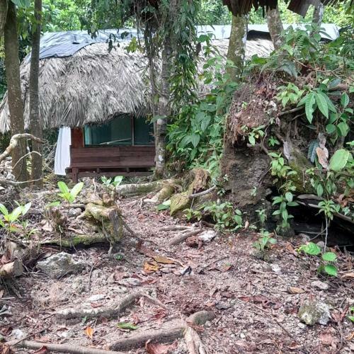 Reserva Natural Selva Mojada
