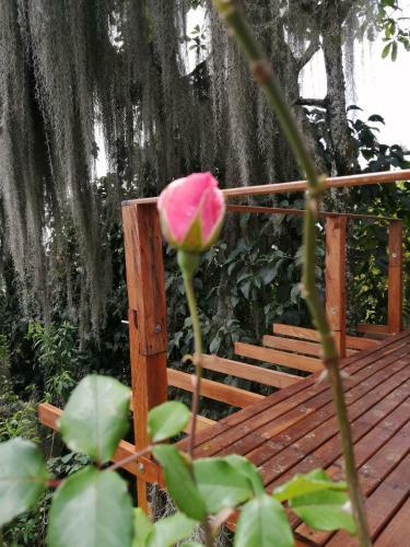 Bed & Breakfast Hostal Casa La Juana