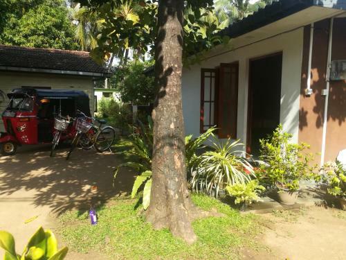 Hostal Arani Homestay