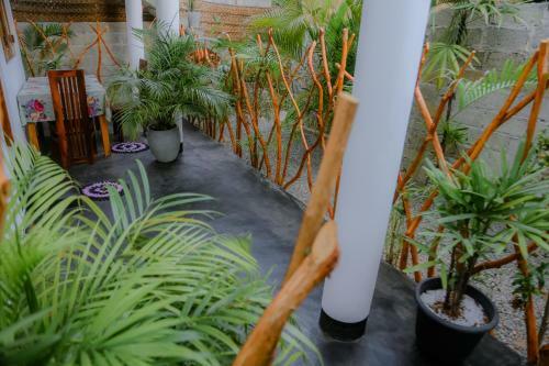 Ruwan Jungle Homestay