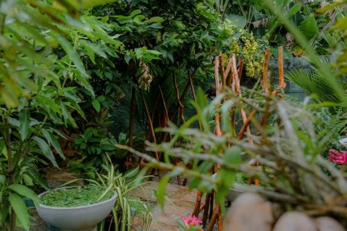 Ruwan Jungle Homestay