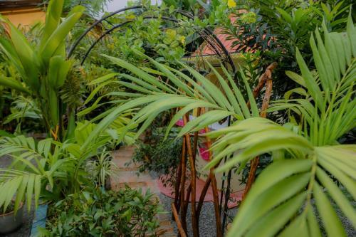 Ruwan Jungle Homestay