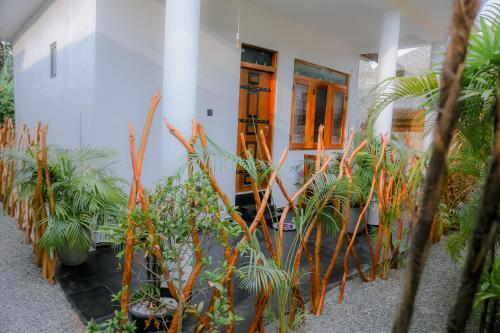 Ruwan Jungle Homestay