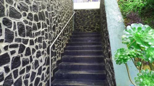 Hotel Forestside Villa & Resort