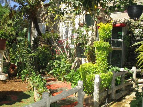 Hostal Redwood Homestay
