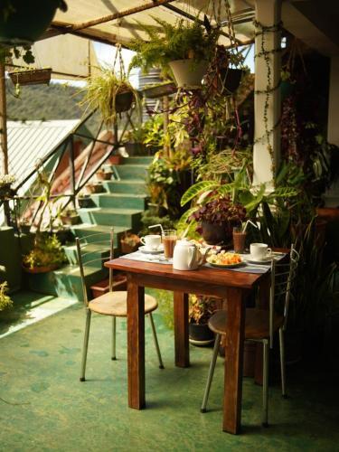 Hostal Redwood Homestay