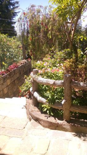 Hostal Redwood Homestay