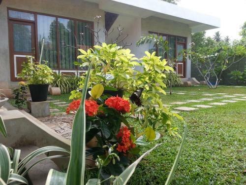 Bed & Breakfast Green Wood Villa Negombo