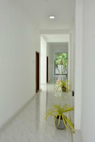 Lavender Homestay - Negombo