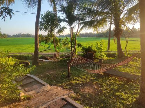 Hotel Village Mango Resort Yala