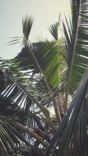 Happy Living Weligama