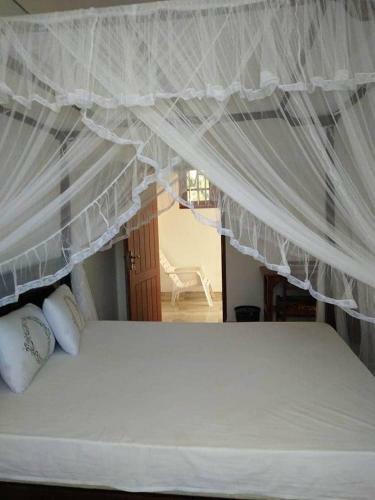 Apartamento Aloe Vera Inn