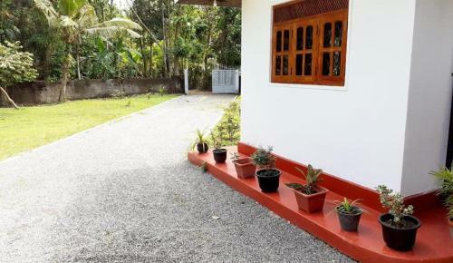 Apartamento The Calm Garden