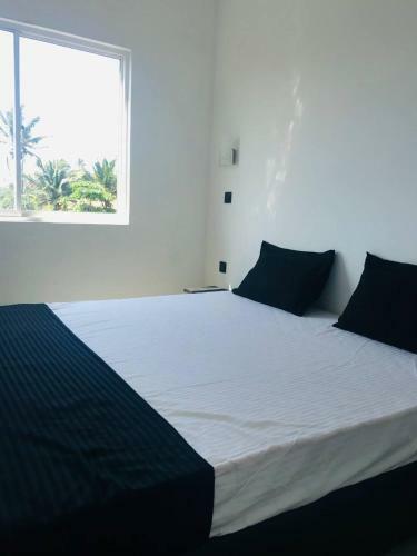 Hostal The Reef Weligama
