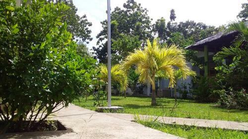 Hibiscus Garden Apartelle