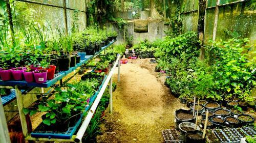 Posada Mirisbiris Garden And Nature Center