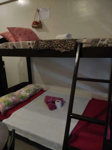 Hotel Kassel Residences Family Rooms