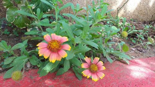 Penghu Bay Homestay