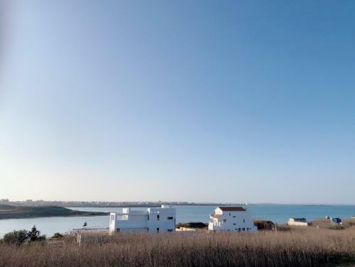 Island House