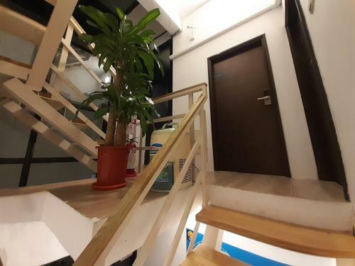Yueli Homestay