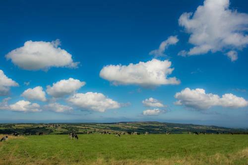 Agroturismo Rawcliffe House Farm