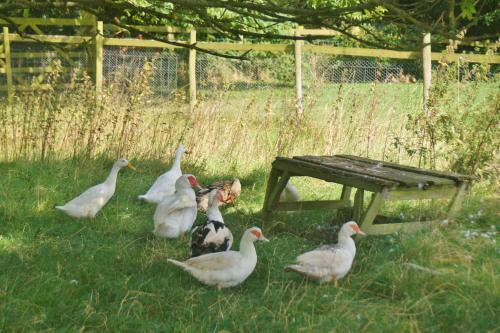 Agroturismo Rawcliffe House Farm