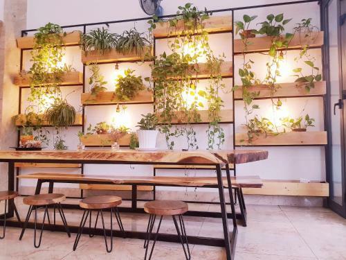 Hanz Hotel Nha Trang